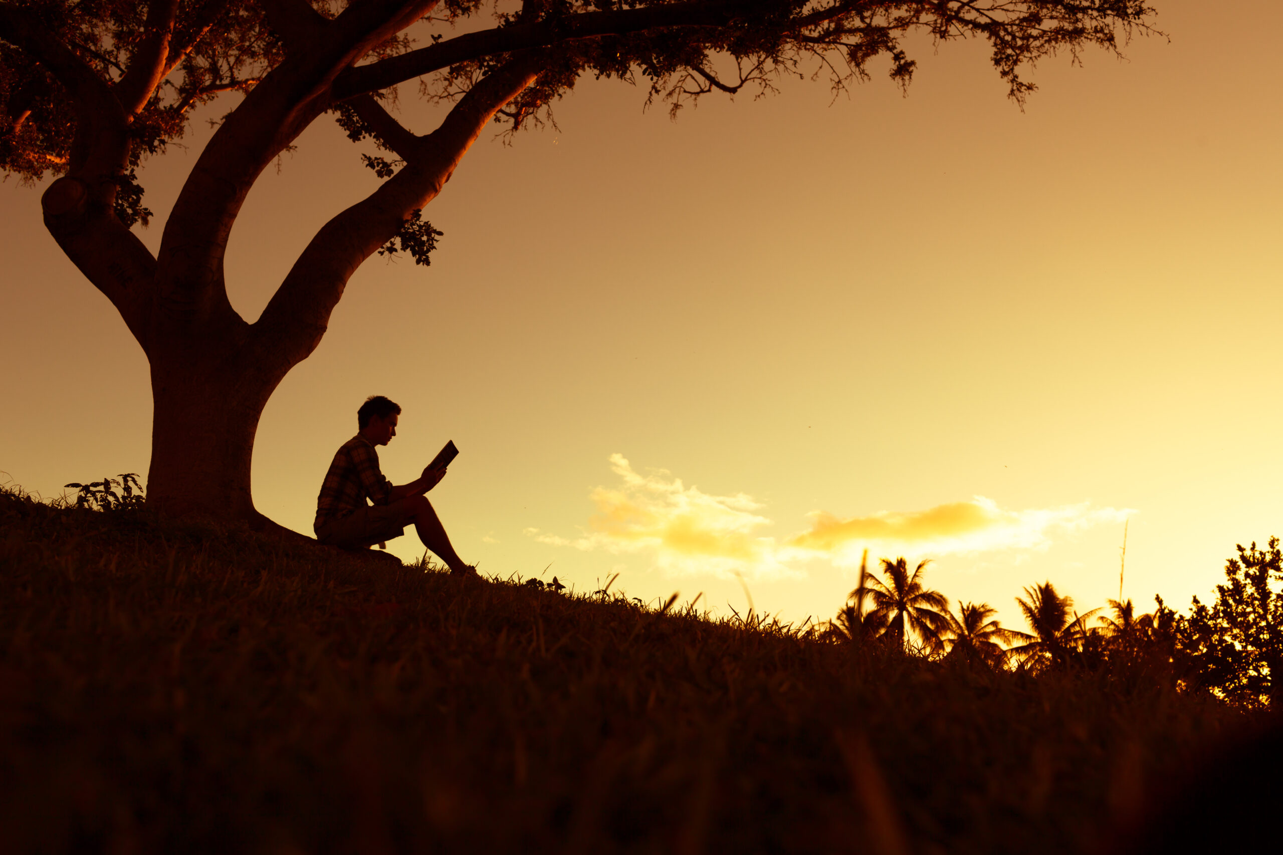 Zettelkasten (10/22/2025)