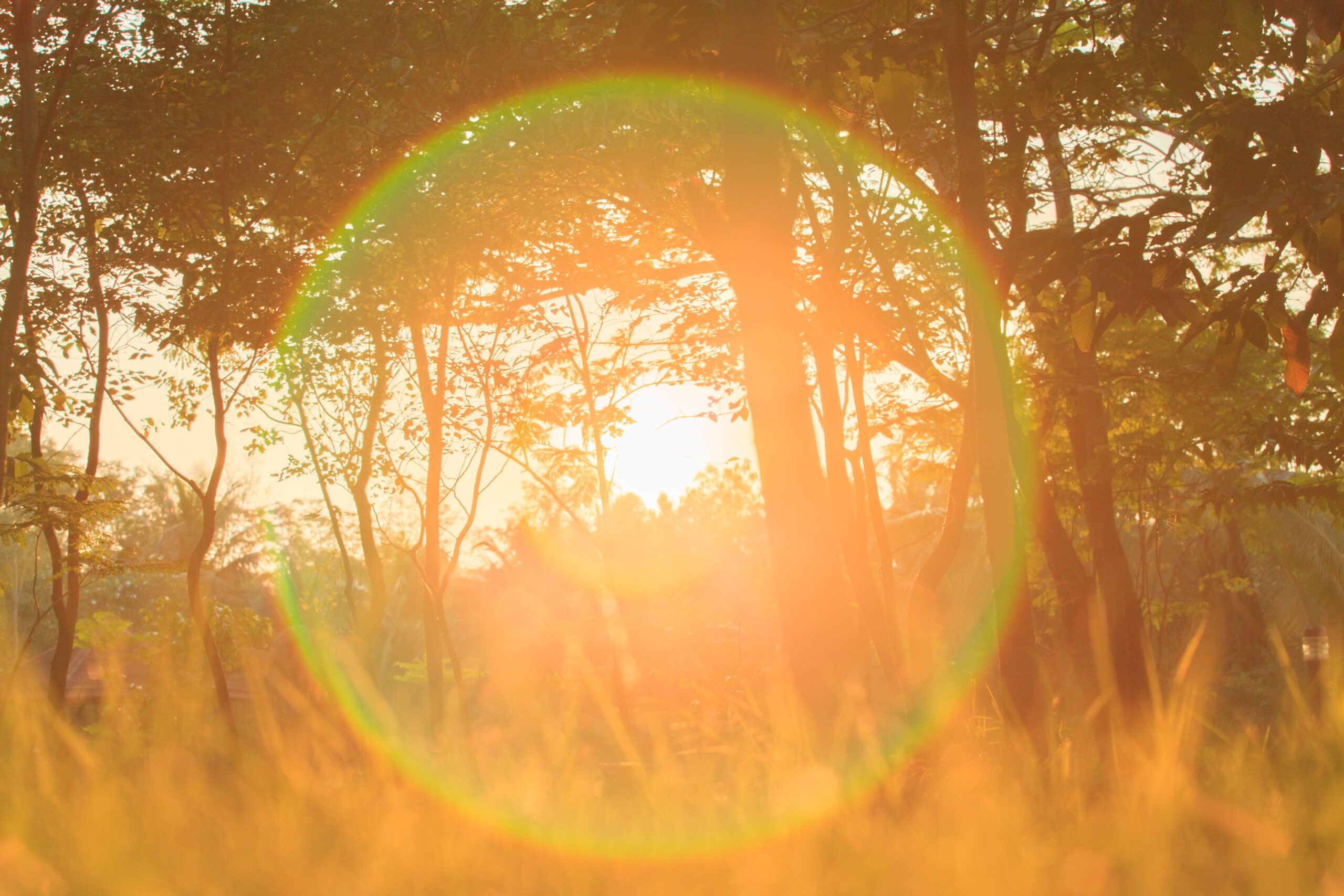 Fellowship with God: Life’s Essence